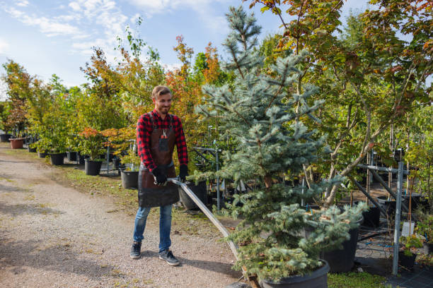 Mulching Services in Kincheloe, MI